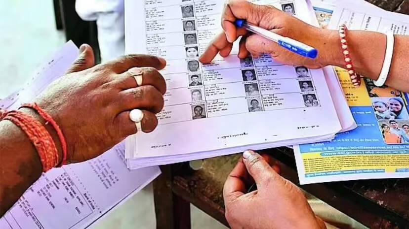 voter