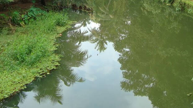 water water