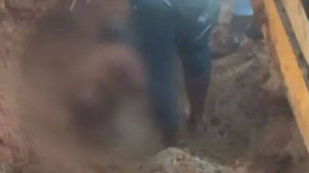 mudslip mudslip