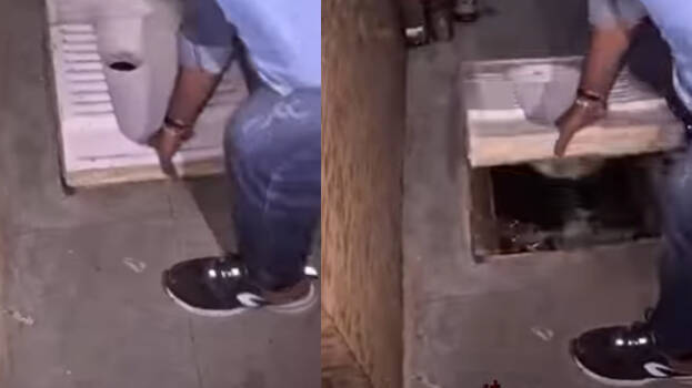 toilet toilet