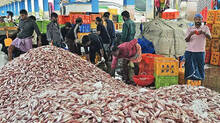 sardine-shortage-in-kerala-fish-market