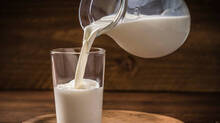 how-to-check-milk-purity