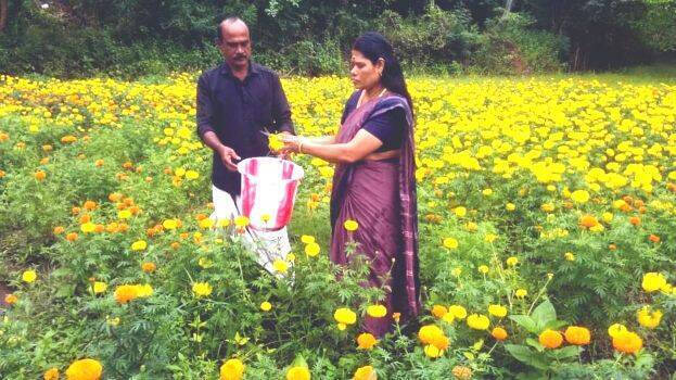 agriculture agriculture