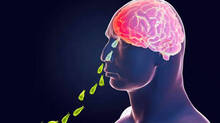amebic-meningoencephalitis-hotel-worker-died-with-similar-symptoms-in-kozhikode