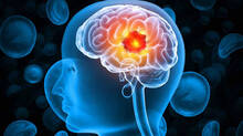 amoebic-meningoencephalitis-cases
