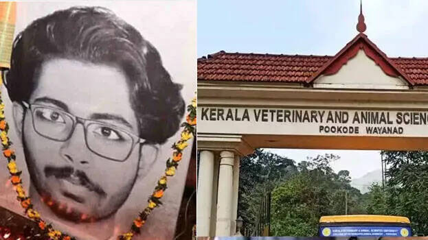 siddharth siddharth