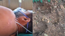 wild-elephant-attack-at-palode-man-severely-injured