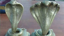two-naga-idols-found-at-thanoor