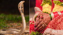 woman-locked-in-room-by-in-laws-after-dowry-dispute-they-let-snake-loose-on-her