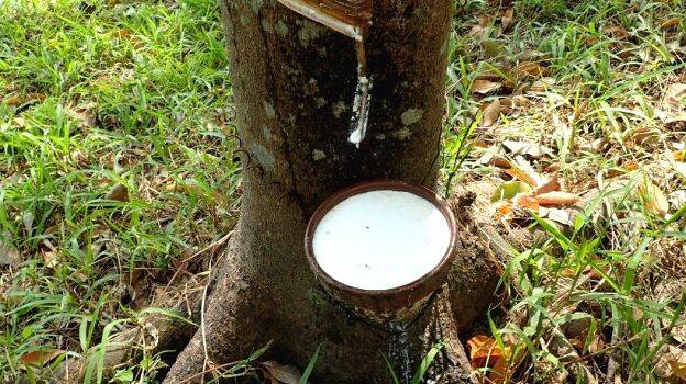 rubber