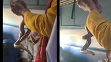 man-carrying-snake-asks-for-money-from-train-passengers
