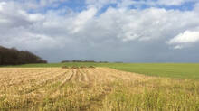 land-tax