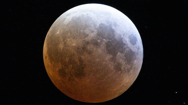 moon moon