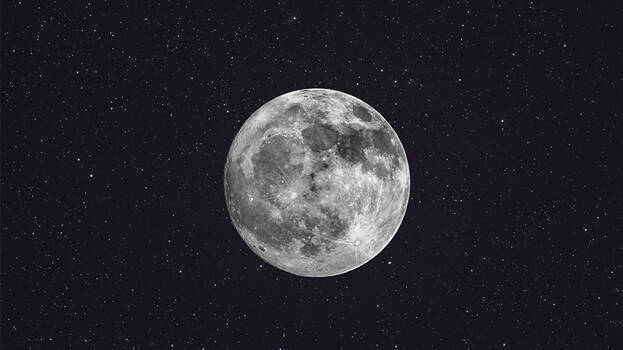 moon moon