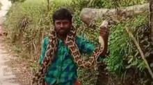 snake-rescue-in-palakkad