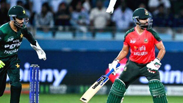 cricket