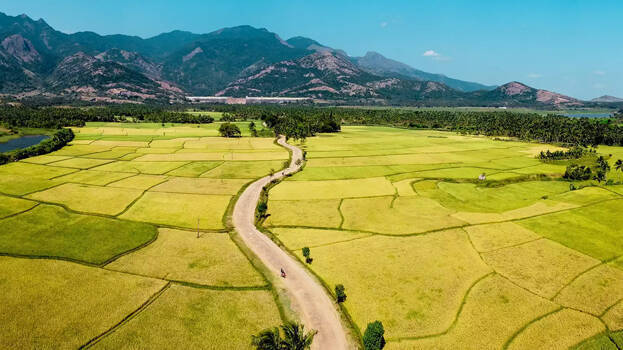 tenkasi tenkasi