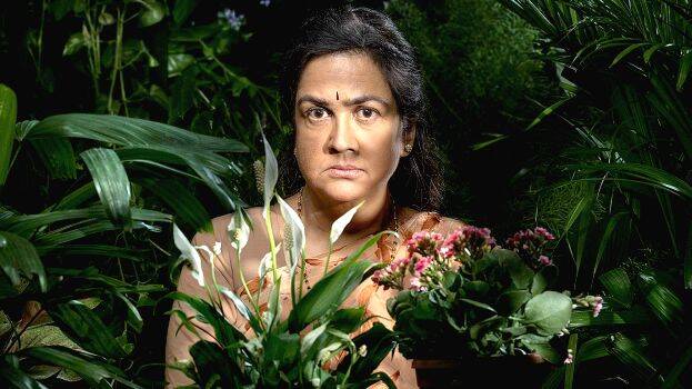 asha