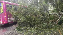 road-block-in-thamarassey-churam