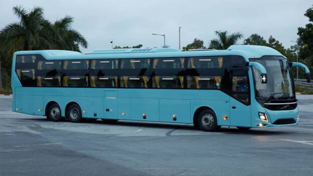 bus bus