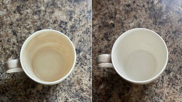 cup cup