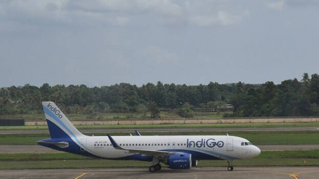 indigo indigo