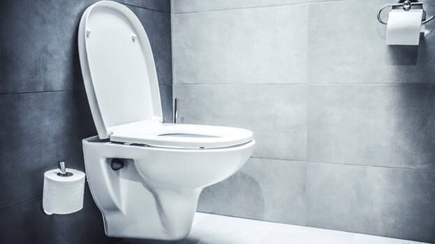 toilet toilet