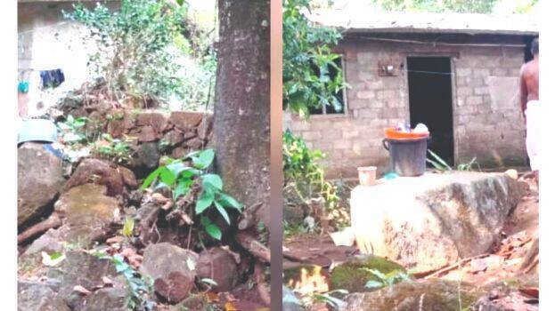 adivasi
