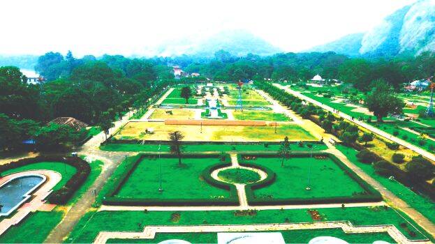 garden