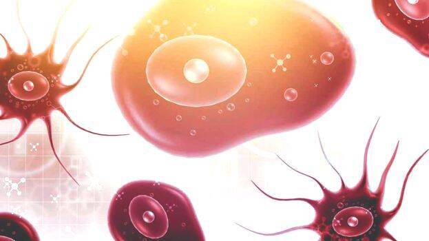 amoebic