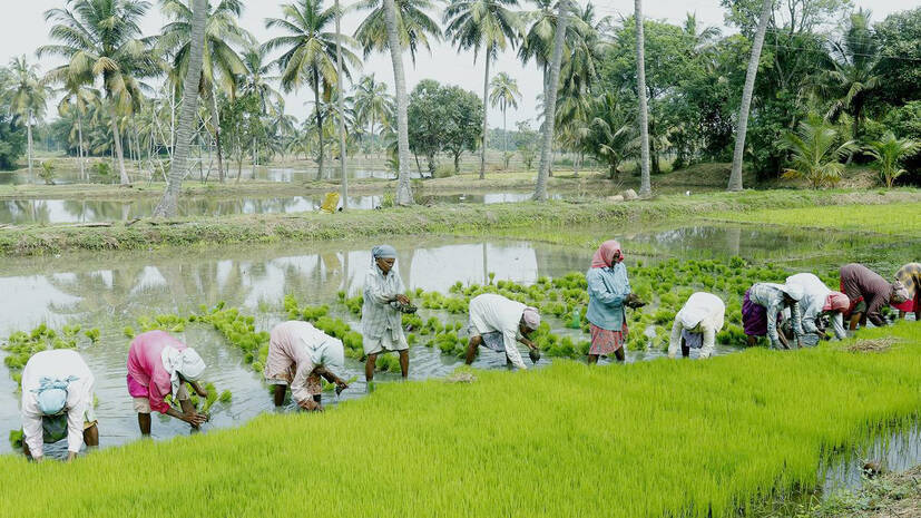 agri agri