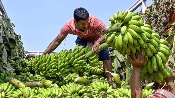 agri