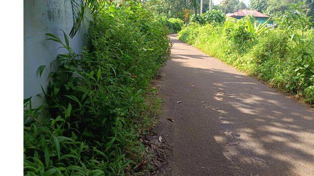road road