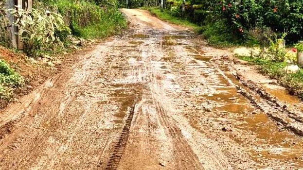road- road-