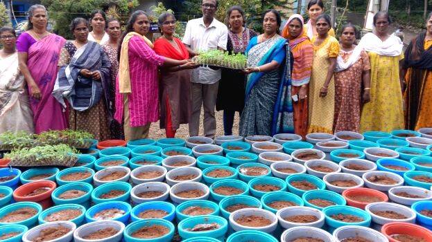 panchayath-