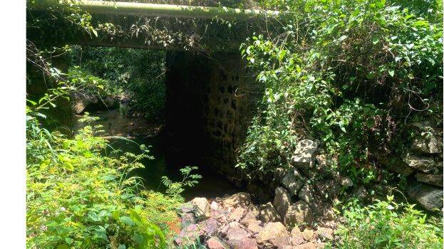 photo photo