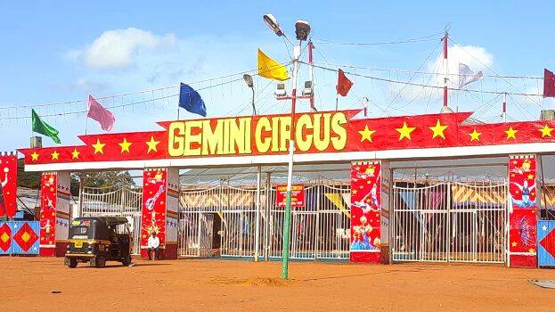 gemini gemini