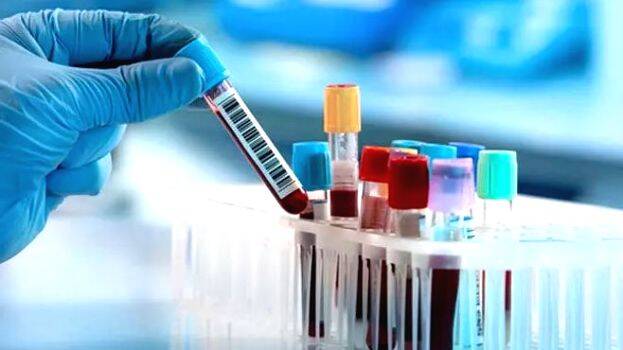 lab