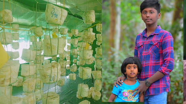 vaishnav-