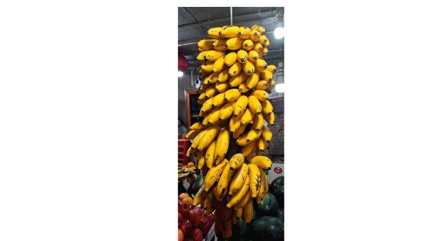 fruit fruit