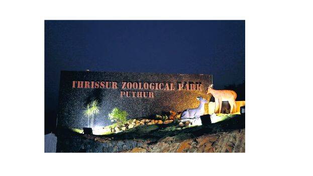 zoo