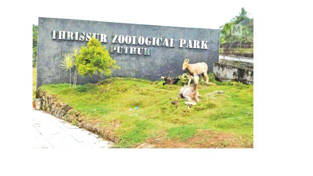 zoo