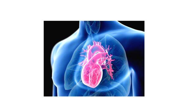 heart