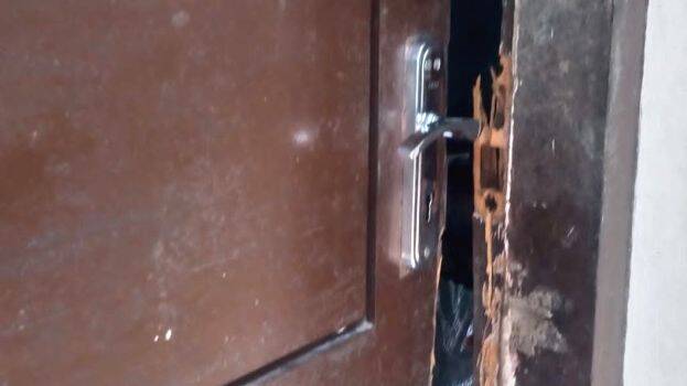 theft-