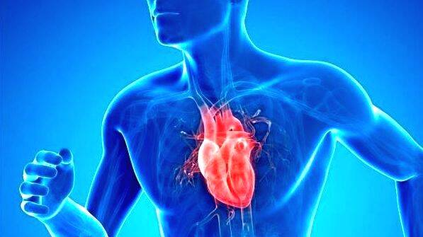 healthy-heart