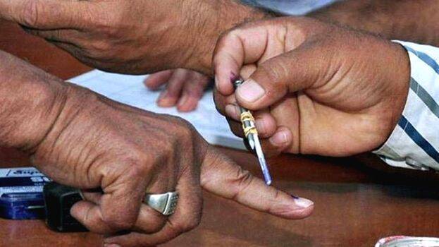 local-body-election-resul
