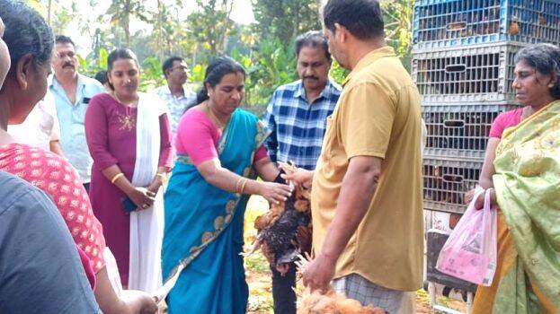 kozhi-valarthal-padhathi