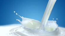 milk