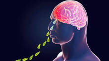 amoebic-brain-fever