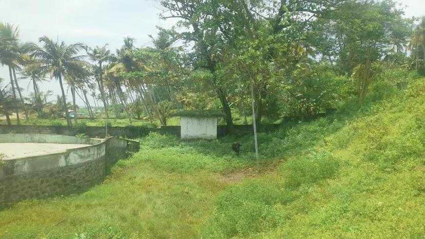 vettakkada-park vettakkada-park